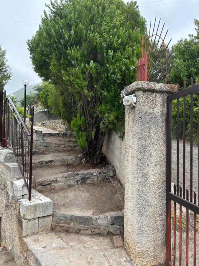 Villa Loren Praia a Mare Zewnętrze zdjęcie