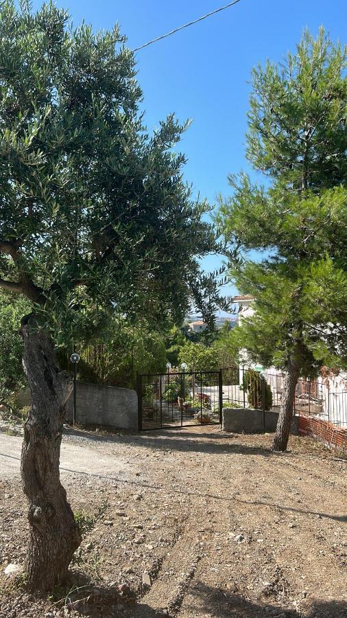 Villa Loren Praia a Mare Zewnętrze zdjęcie